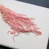 Stabilisiertes Amaranth - Amaranth - Rosa Produktbild-Vorschau 7
