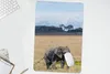 MuchoWow® Mauspad Mousepad Elefant - Gras - Tiere - Natur Produktbild-Vorschau 5