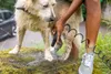 Mobilní tlaková myčka Kärcher OC 4 Pet 1.599-353.0 Náhled obrázku produktu
