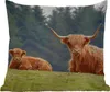 MuchoWow® Outdoor Kissen - Schottische Hochlandrind - Gras Produktbild-Vorschau 1