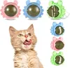 3er-Pack 360° Drehbare Katzenminze Bälle mit Deckel, Katzen Produktbild-Vorschau 1