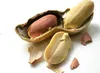 Arašídy ve skořápce 500 G - Pražené arašídy - Pražené a Náhled obrázku produktu 2