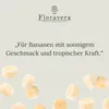 Floravera Premium Bananen Flüssigdünger 2 x 1 Liter Produktbild-Vorschau 2