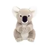 A stuffed koala toy is sitting and facing the camera. Produktbild-Vorschau