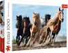 Trefl 10446, 1000 szt., Animals, 12 lat(a) Podgląd zdjęcia produktu 2