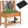 Letto da giardino rialzato COSTWAY con traliccio, cassetta Anteprima dell’immagine prodotto 1
