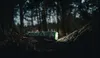 A silver flashlight with a green light is lying on a mossy log in a dark forest. Produktbild-Vorschau