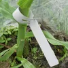 Etichette per piante Etichette per la semina di fiori 100 Anteprima dell’immagine prodotto 8