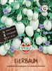 SPERLI Eierbaumsamen Solanum melongena 15 Pflanzen Produktbild-Vorschau 1