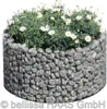 A round gabion planter filled with green plants and white flowers. Produktbild-Vorschau