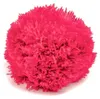 2 Bommeln / Wollbommeln / Pompon, pink rosa Produktbild-Vorschau
