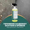 INOX® 2x1L Polster- & Teppichreiniger Konzentrat – Produktbild-Vorschau 2