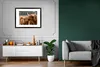 MuchoWow® Gerahmtes Poster Schottische Highlander - Tiere - Produktbild-Vorschau 8
