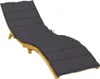 A chaise lounge with a dark gray cushion on a white background. Produktbild-Vorschau