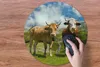 MuchoWow® Mauspad Mousepad Alpen - Kühe - Gras 50x50 cm - Produktbild-Vorschau 3
