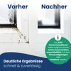 AGO Set 2in1 Profi Schimmelentferner – 0,5 l – Produktbild-Vorschau 4