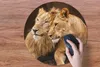 MuchoWow® Mauspad Mousepad Löwen - Braun - Tiere 50x50 cm - Produktbild-Vorschau 3