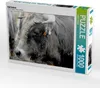 CALVENDO Puzzle Bull Aubrac | 1000 Teile Lege-Größe 64x48cm Produktbild-Vorschau 1