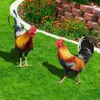 Hühner-Gartenornamente, 2 Stück, dekorative Produktbild-Vorschau 5