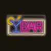 Forever Light Neon PLEXI LED BAR multikolor Schild Werbung Produktbild-Vorschau 2