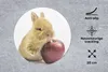 MuchoWow® Mauspad Mousepad Kaninchen - Baby - Apfel 20x20 Produktbild-Vorschau 2