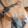 Dy´on Gebisslose Trense Bitless Bridle Braun Cob Produktbild-Vorschau 4