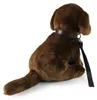 Plyšový labradorský retriever s vodítkom 25 cm Eco-f. Náhľad obrázku produktu 3