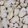 Hericium Löwenmähne Lions Mane 125 g Fruchtkörperpulver, Produktbild-Vorschau 4