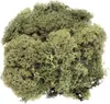 Glorex Islandmoos dunkelgrün 50 Gramm Produktbild-Vorschau 1