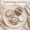 Turbanschnecken auf Keramikteller mit Teelicht als maritime Akzente Produktbild-Vorschau