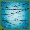 Stacheldraht - 2,5 Mm - 100 M - Scharf - Gartenschutz Produktbild-Vorschau 7