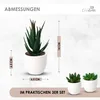 Künstliche Pflanzen Mini 3er Set Dekoration Kunstpflanzen Produktbild-Vorschau 3