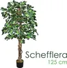 Schefflera umělá rostlina umělá rostlina umělá rostlina Náhled obrázku produktu 1