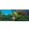 Aqua Della Fotorückwand Schönheit und Meer, Maße: 60 x 30 Produktbild-Vorschau 2