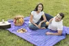 A couple enjoying a picnic in a grassy park. Produktbild-Vorschau