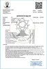 Sparta Medicinal Green Label Ökologisches Natives Olivenöl Produktbild-Vorschau 2
