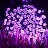 A close-up view of purple LED string lights illuminating blades of grass. Produktbild-Vorschau