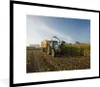 MuchoWow® Gerahmtes Poster Traktor - Anhänger - Mais - Grün Produktbild-Vorschau 1
