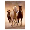 Puzzle Clementoni 1000 Cavalli al galoppo 39168 Anteprima dell’immagine prodotto 4