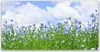 Acrylglasbilder 120x60 Wandbild Druck Blumen Natur Produktbild-Vorschau 1