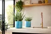 elho® Ocean Übertopf Atlantikblau Ø 14 cm aus Kunststoffen Produktbild-Vorschau 13