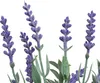 Künstlicher Lavendel 32cm in Dekoflasche Lila 1 Stück Produktbild-Vorschau 2