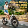 2025 20 Zoll Fat Tire E Bike, Klapprad Elektrofahrrad Produktbild-Vorschau 10