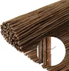 A close-up view of a rolled-up reed fence, showing the texture and binding. Produktbild-Vorschau