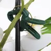ProGarden clips de soutien des plantes grandes et petites Voir les images du produit 5