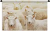 MuchoWow® Wandteppich Wandbehang Schafe - Wolle - Weiß Produktbild-Vorschau 1