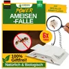 GREEN GUARDIA Ameisen Falle mit Spezial-Lockstoff - 6X Produktbild-Vorschau 1