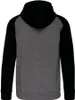 Proact Uni Kapuzenjacke Sweat-Jacke Hoodie Kapuzenpullover, Produktbild-Vorschau 1