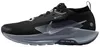 Nike Pegasus Trail 5 GTX GORE-TEX - Herren Trail-Running Produktbild-Vorschau 1