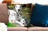 MuchoWow® Zierkissen Sofakissen Wohnzimmer Dekokissen 60x60 Produktbild-Vorschau 2